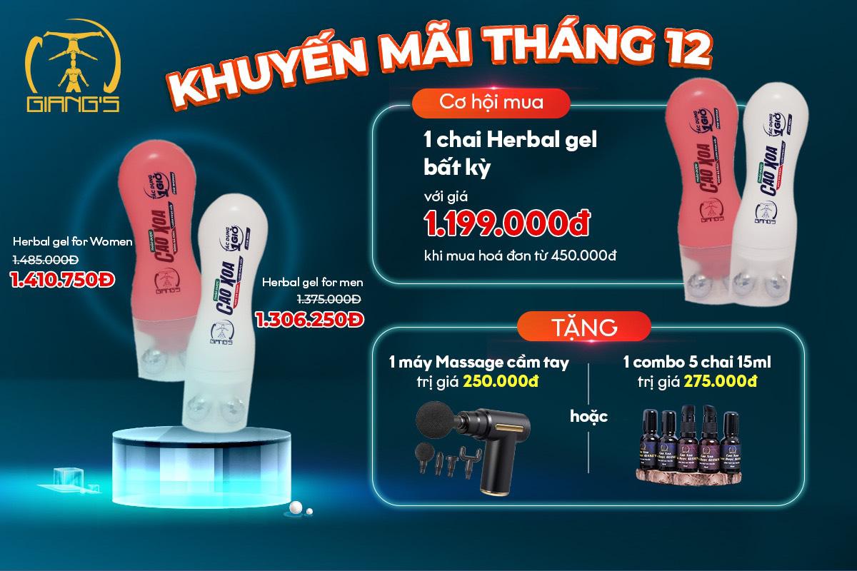 MÙA GIÁNG SINH - SALE LUNG LINH 