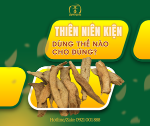 DÙNG THIÊN NIÊN KIỆN NHƯ THẾ NÀO CHO ĐÚNG?